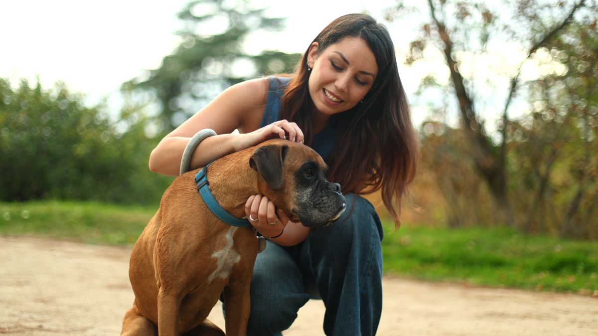 Boxer with owner