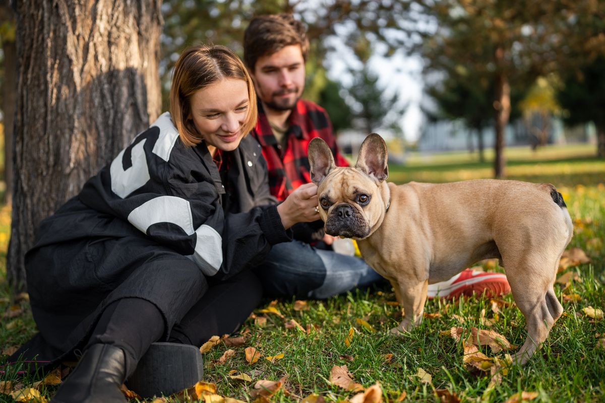 Couple with their French Bulldog in a park on a sunny day