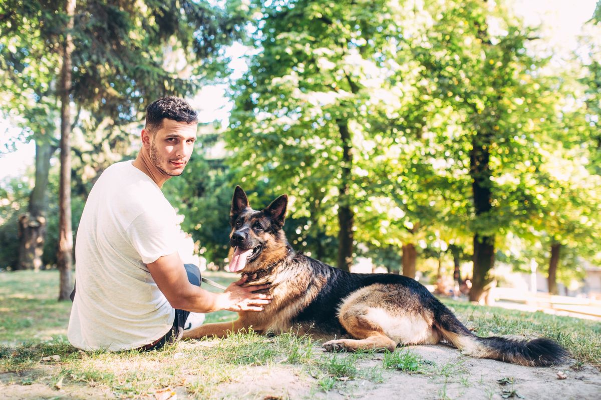 German Shepherd with owner