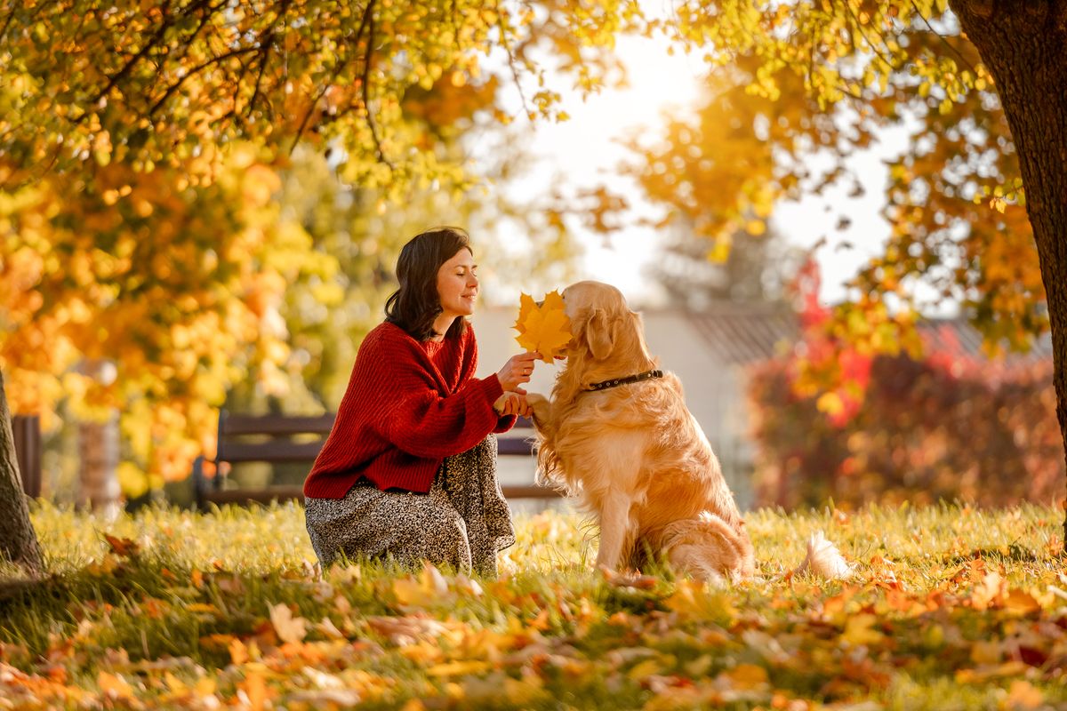 Girl with Golden Retriever in autumn park