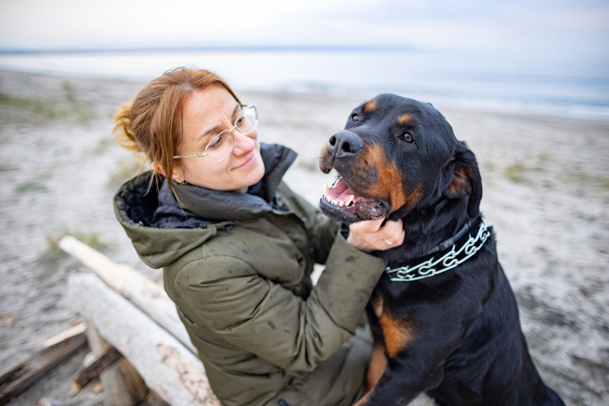 Rottweiler with owner