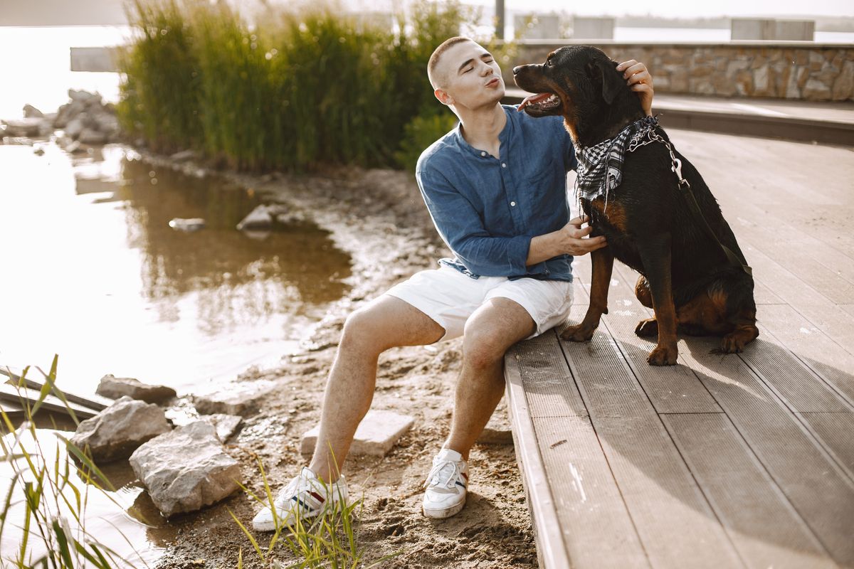 Rottweiler with owner