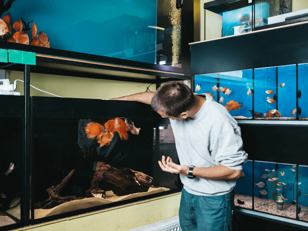 Aquarium Shop