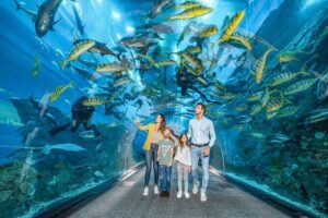 dubai aquarium