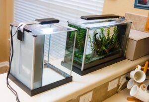 the Fluval Spec III tank