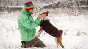 basenji